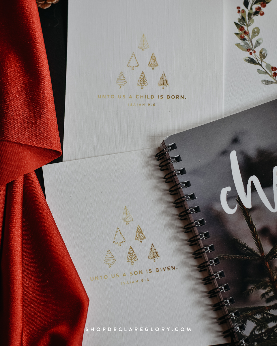 Holiday Study Bundle – DeclareGlory